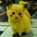 มะนาวรสหวาน