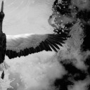 สมาชิกหมายเลข 2474486