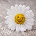 สมาชิกหมายเลข 2259484