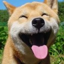 สมาชิกหมายเลข 3571228