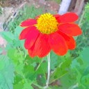 ชอบเรื่องลึกลับ