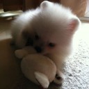 สมาชิกหมายเลข 1009106