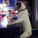 สมาชิกหมายเลข 822694