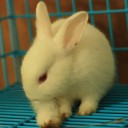 ume,ยายบ๊วย