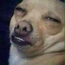 สมาชิกหมายเลข 1896049