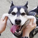 สมาชิกหมายเลข 1645489