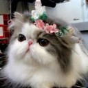 สมาชิกหมายเลข 2978906