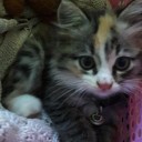 สมาชิกหมายเลข 3571889