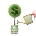 สวยฉลาดบาทเดียว