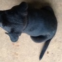 สมาชิกหมายเลข 1057429