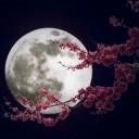 พระจันทร์ในรังทอง