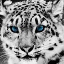 สมาชิกหมายเลข 1459637