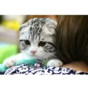 สมาชิกหมายเลข 1896431