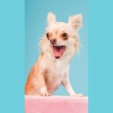 สมาชิกหมายเลข 2276689