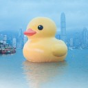 สมาชิกหมายเลข 2881333