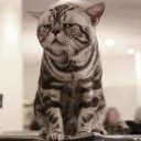 กำลังตรวจสอบอีกครั้ง