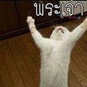 สมาชิกหมายเลข 2982739