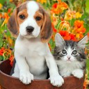 สมาชิกหมายเลข 1894071