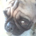 สมาชิกหมายเลข 2298157