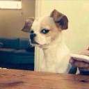 สมาชิกหมายเลข 2689679