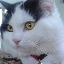 สมาชิกหมายเลข 1552417