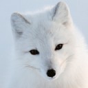 สมาชิกหมายเลข 1467864