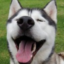 สมาชิกหมายเลข 1896082