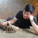 จักรแก้ว