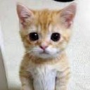 สมาชิกหมายเลข 1010646