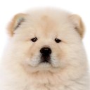 สมาชิกหมายเลข 1739367