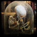 สมาชิกหมายเลข 2171670