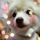 ชีวิตนิรันดร์