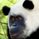 สมาชิกหมายเลข 3571968