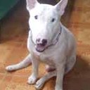 Moonlight พ่อมดร้อยปี