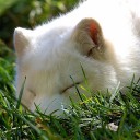 สมาชิกหมายเลข 1059853