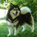 สมาชิกหมายเลข 2299663