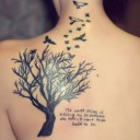 สมาชิกหมายเลข 2691151