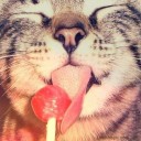 สมาชิกหมายเลข 2691301