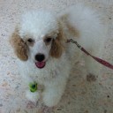 สมาชิกหมายเลข 2063745