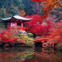 สมาชิกหมายเลข 747194