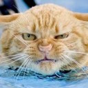 สมาชิกหมายเลข 2223217