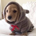 สมาชิกหมายเลข 3108070