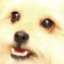 เสี่ยวหลิน