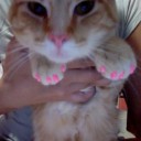 สมาชิกหมายเลข 702754