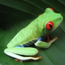 สมาชิกหมายเลข 1866593