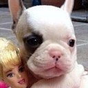 สมาชิกหมายเลข 1351897