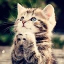 สมาชิกหมายเลข 1171203