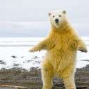 สมาชิกหมายเลข 2789153