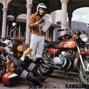 ล้มขอน_นอนไพร