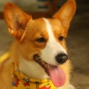 มะลิน่ารัก